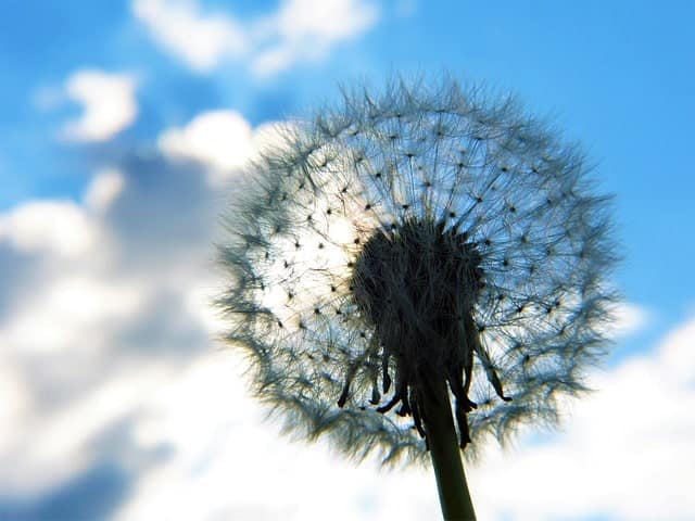 Les accompagnements de la sophrologie pour lutter contre le stress